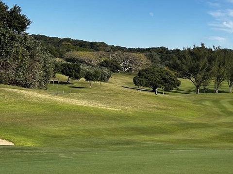 Dollar Spot on South African Golf Courses