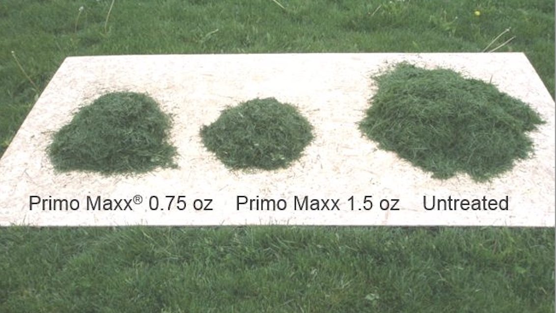 Primo Maxx for Golf Courses In South Africa