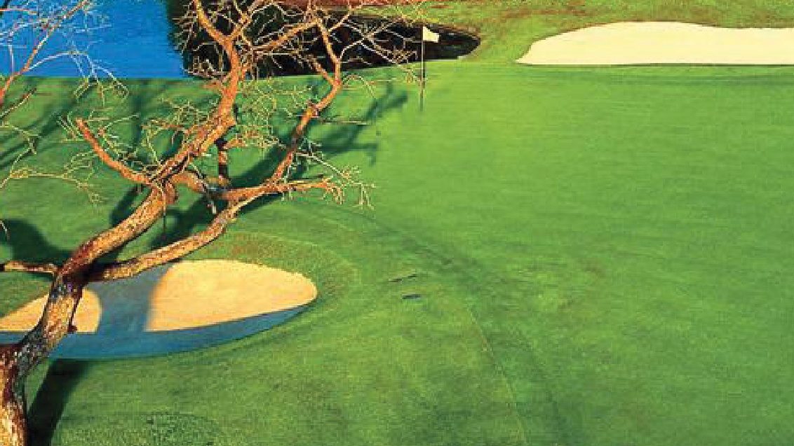 NoMow Plant Growth Regulator - South African Golf Courses