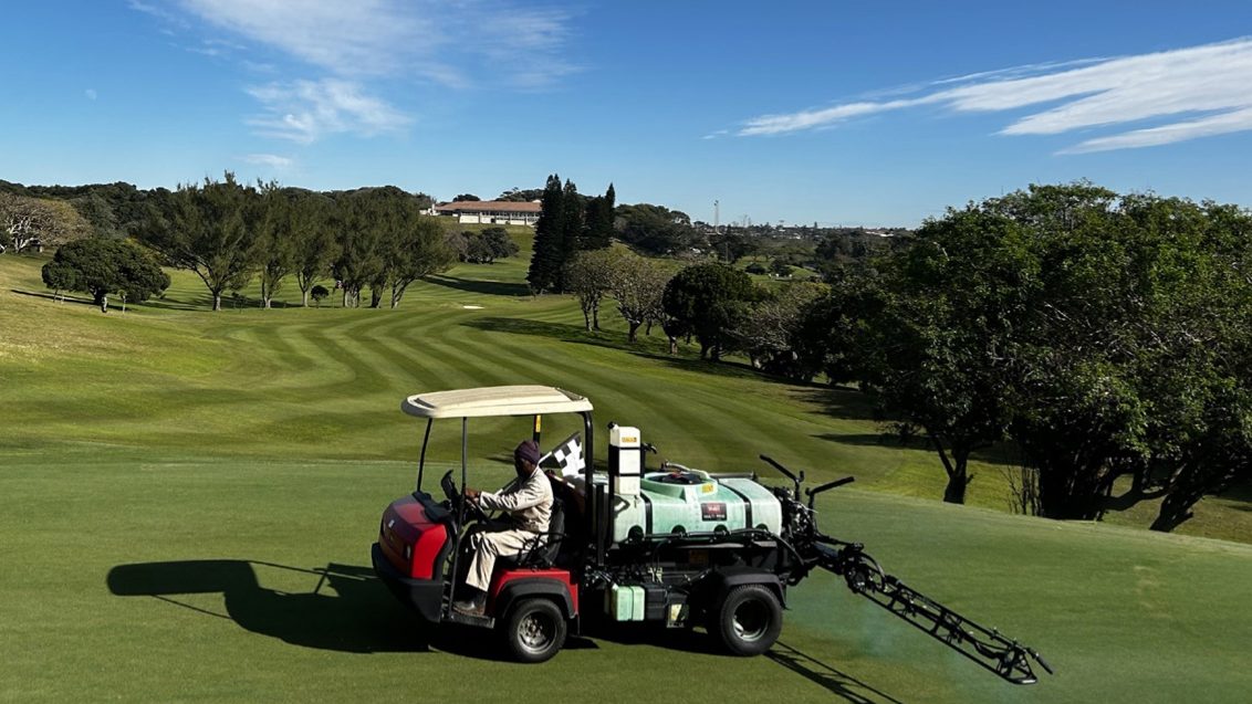 Dollar Spot on South African Golf Courses
